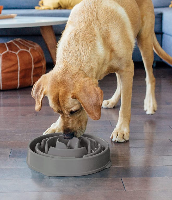 Outward Hound Fun Feeder Slo Bowl, Large/Gray Drop