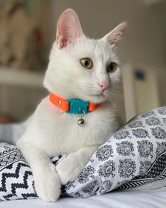 The 8 Best Collars For Cats Who Hate Collars