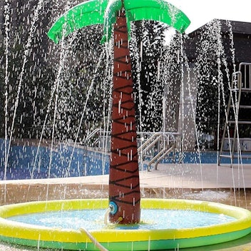 A palm tree splash pad gives the backyard a tropical flair.