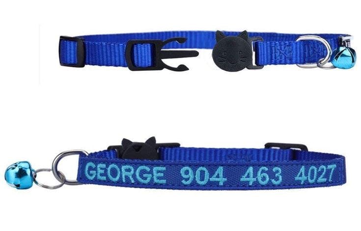 Personalized cat collar for cats who hate collars