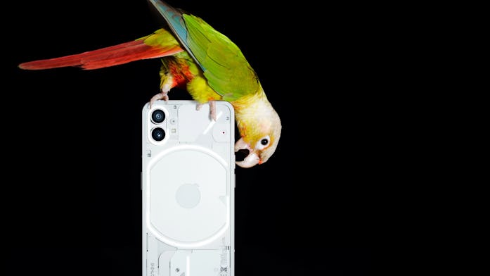 Nothing Phone (1)