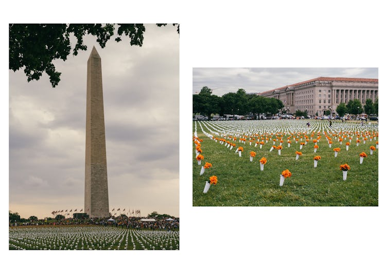 Photo of the thousands of flowers placed at Washington Monument for the Action on Gun Violence Campa...