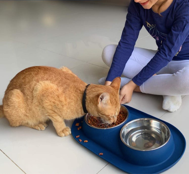 Bonza Cat or Small Dog Bowls with Spill-Proof Mat