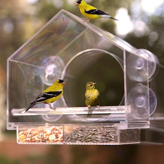 Nature Anywhere Window Feeder for Birds