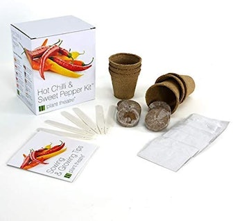 Plant Theatre Pepper Seeds For Planting