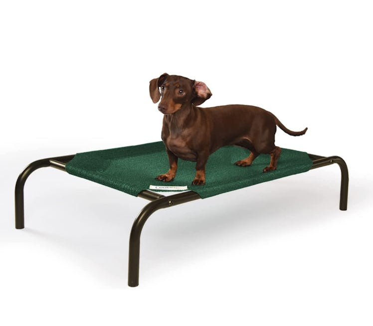 Coolaroo Cooling Elevated Pet Bed