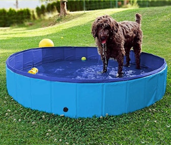 Greenco Foldable Dog Pool