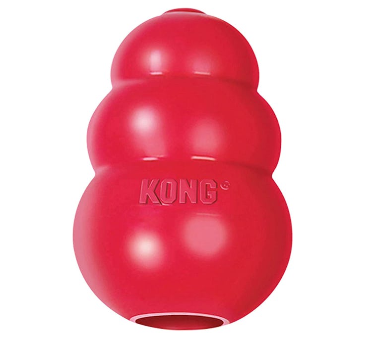 Kong Dog Toy