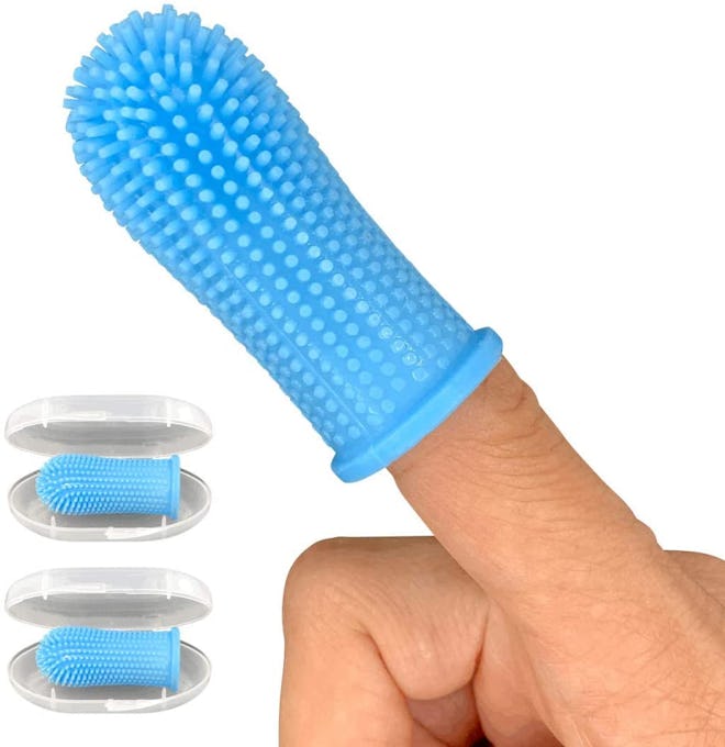 Jasper Dog Toothbrush