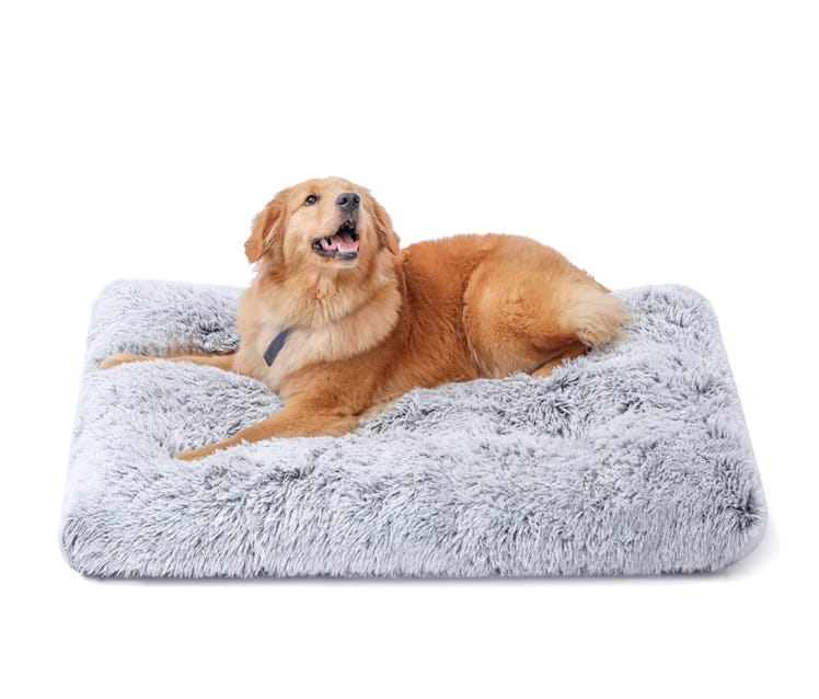 Sycoodeal Plush Dog Bed