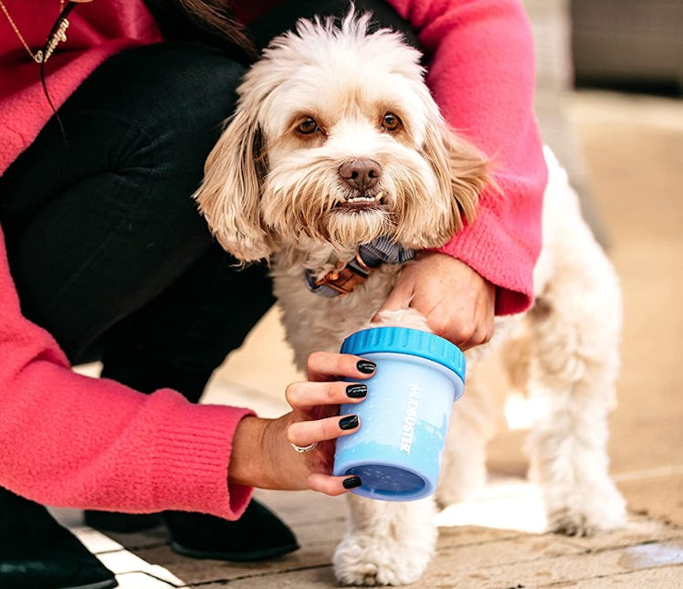 Dexas Portable Paw Washer