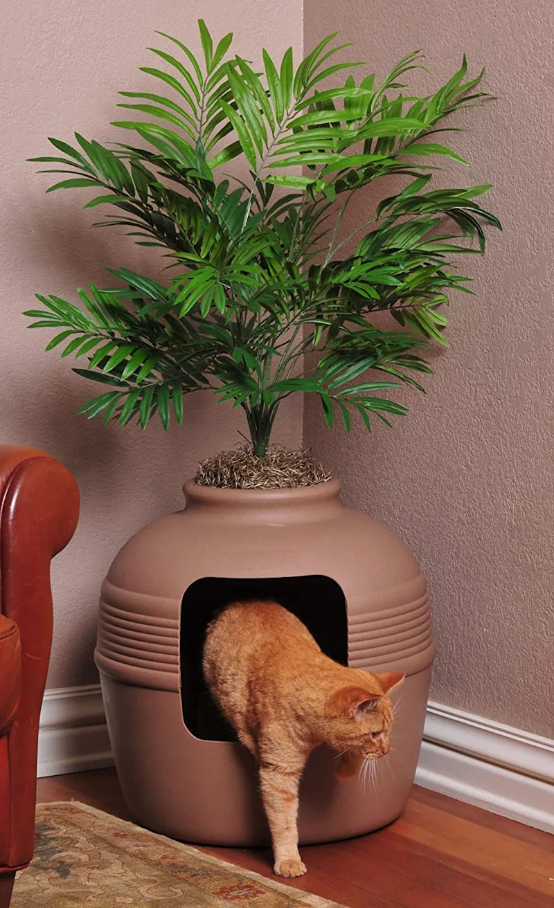 The 8 Best Cat Litter Boxes For Small Spaces In 2022