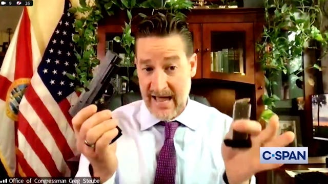 GOP congressman Greg Steube waves his guns around on Zoom during hearing on gun control legislation