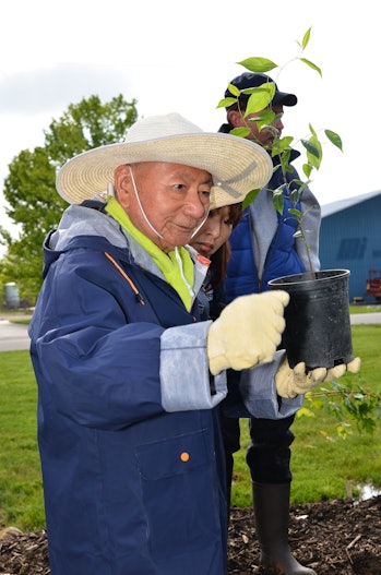 Botanist Akira Miyawaki holds a plant