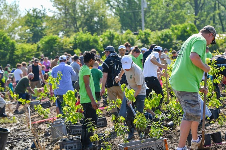 Mini-forest planting in Indiana