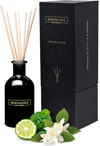 Reed Diffusers for Home