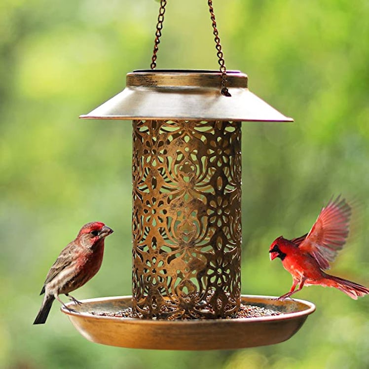 SWEETFULL Solar Bird Feeder