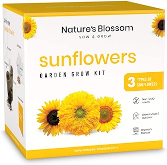 Nature's Blossom Sunflowers Garden Kit
