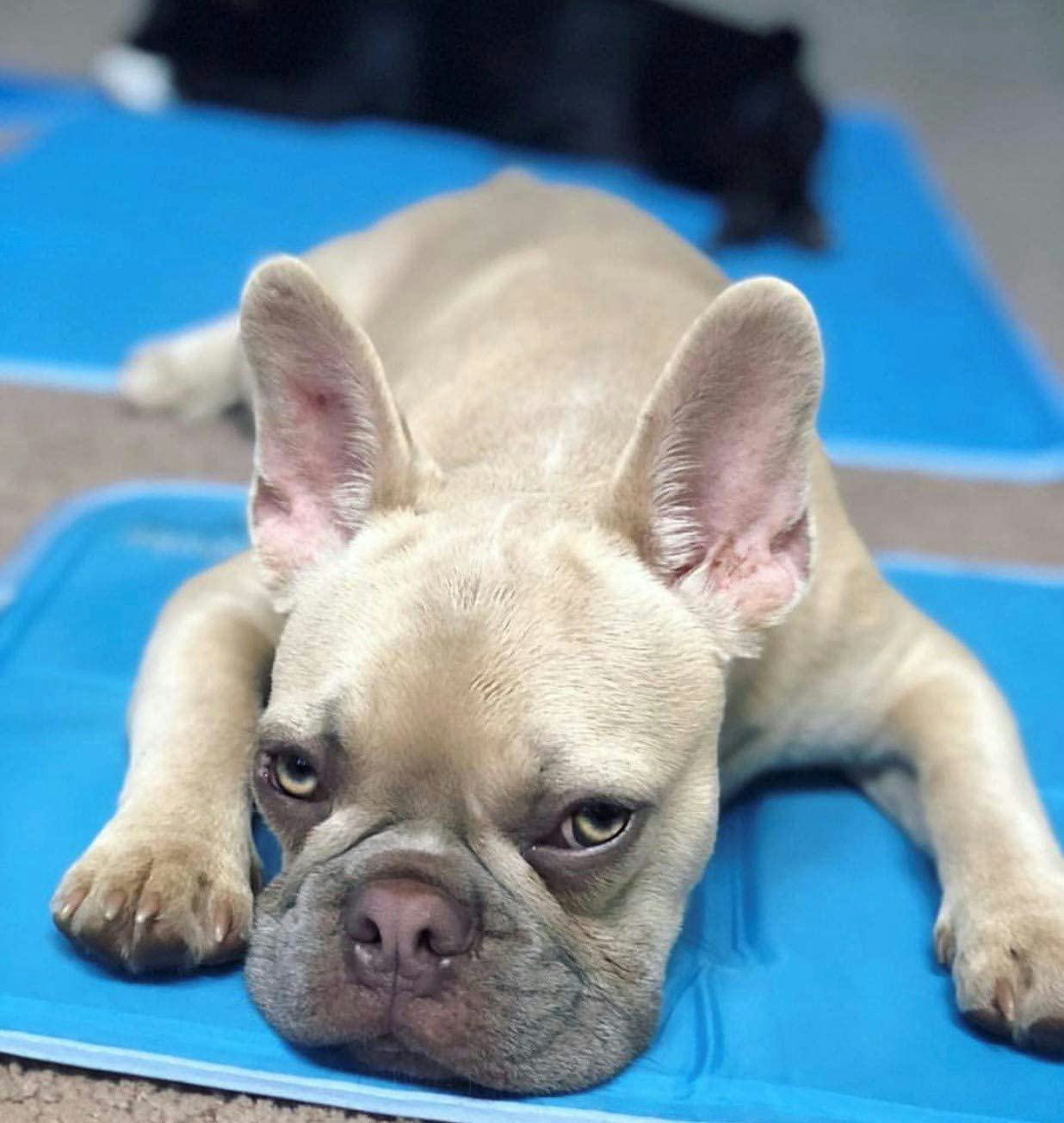 TheGreenPetShop Dog Cooling Mat
