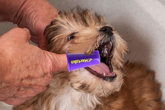 Hertzko Dog and Cat Finger Toothbrush (7-Pack)
