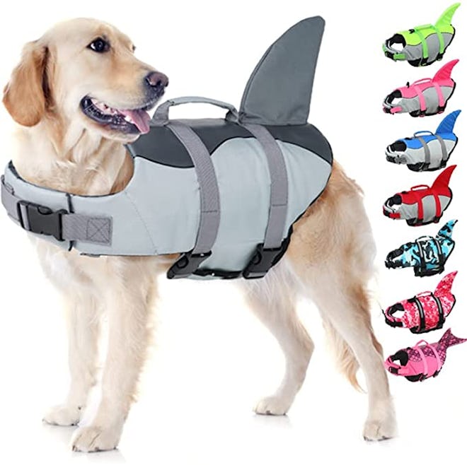 dog wearing gray EMUST dog life jacket in gray with shark fin
