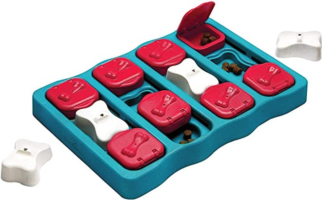 outward hound dog puzzle in blue, red, and white
