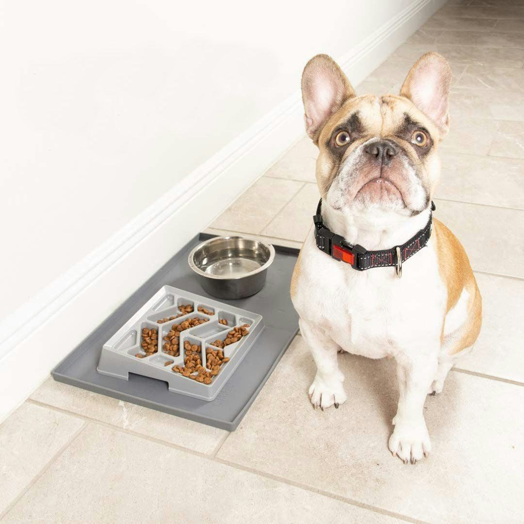 The 4 Best Dog Bowls For FlatFaced Dogs