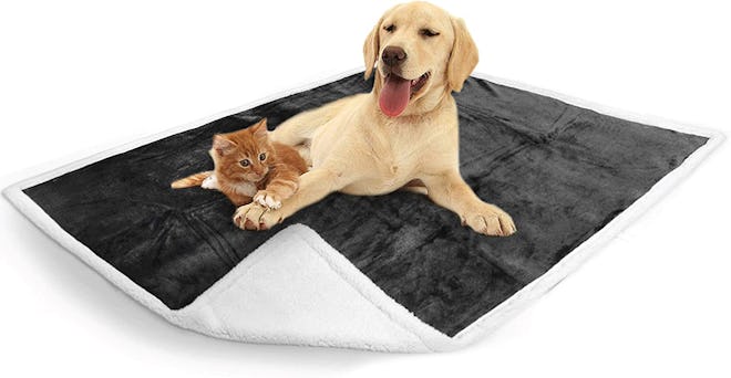 PetAmi Waterproof PetBlanket