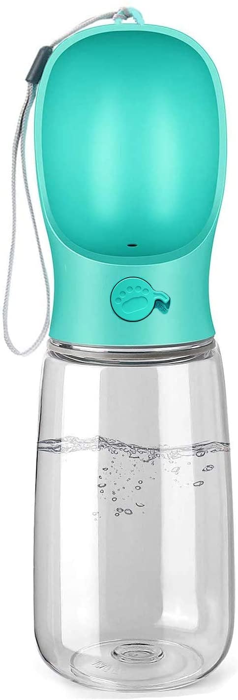 Kalimdor teal and clear dog water bottle