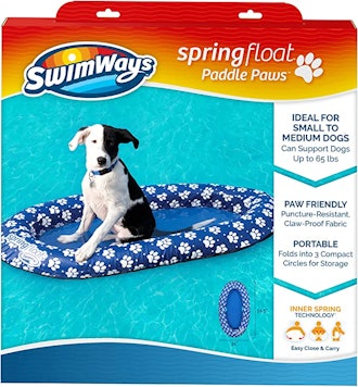 dog in blue swimways dog pool float