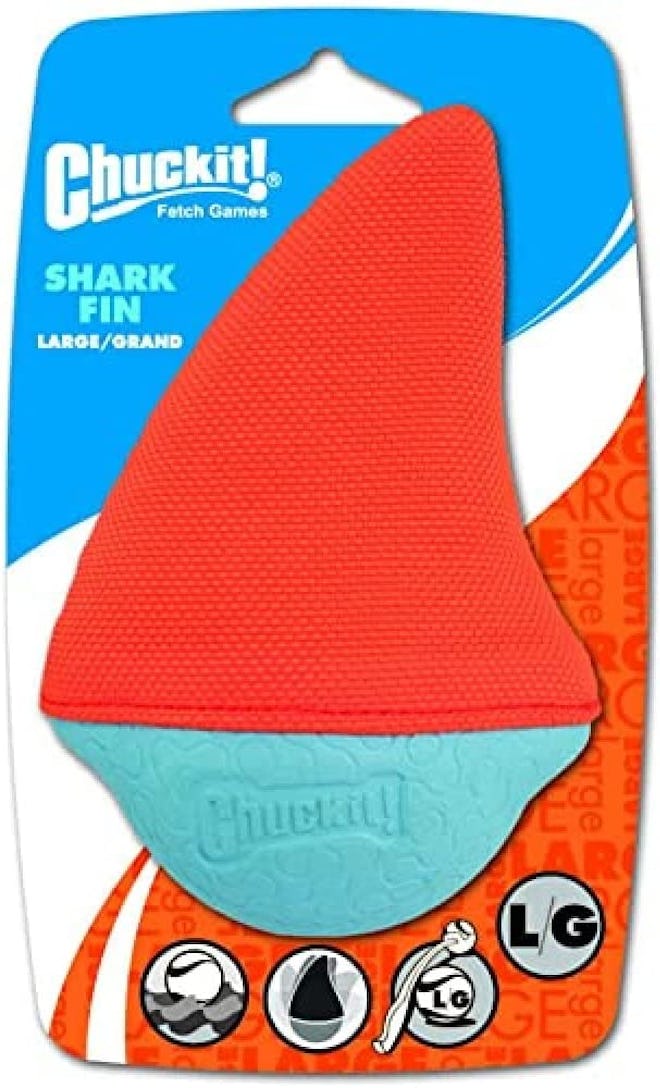 orange and blue chuckit shark fin toy