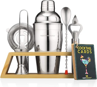 Mixology & Craft Cocktail Shaker Set 