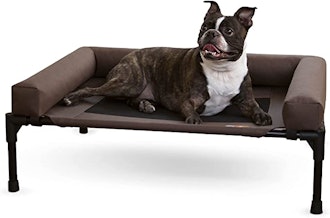 dog laying on brown K&H pet products pet cot