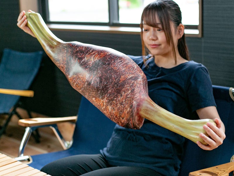 Capcom Monster Hunter Kongari Meat steak pillow