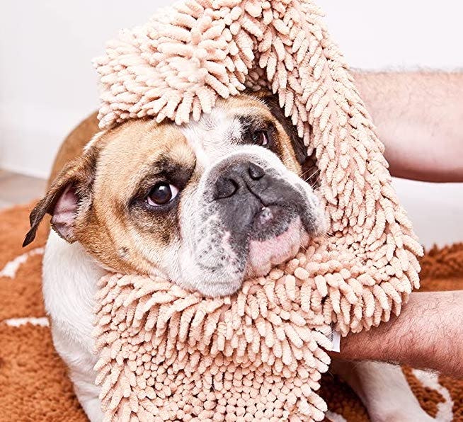 Soggy Doggy Super Shammy