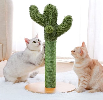 Made4Pets Cactus Scratching Post
