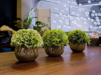 OPPS Artificial Mini Plants (Set of 3)