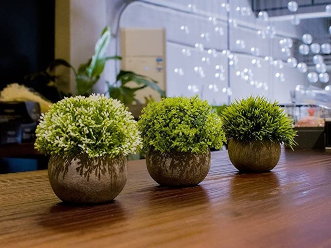 OPPS Artificial Mini Plants (Set of 3)