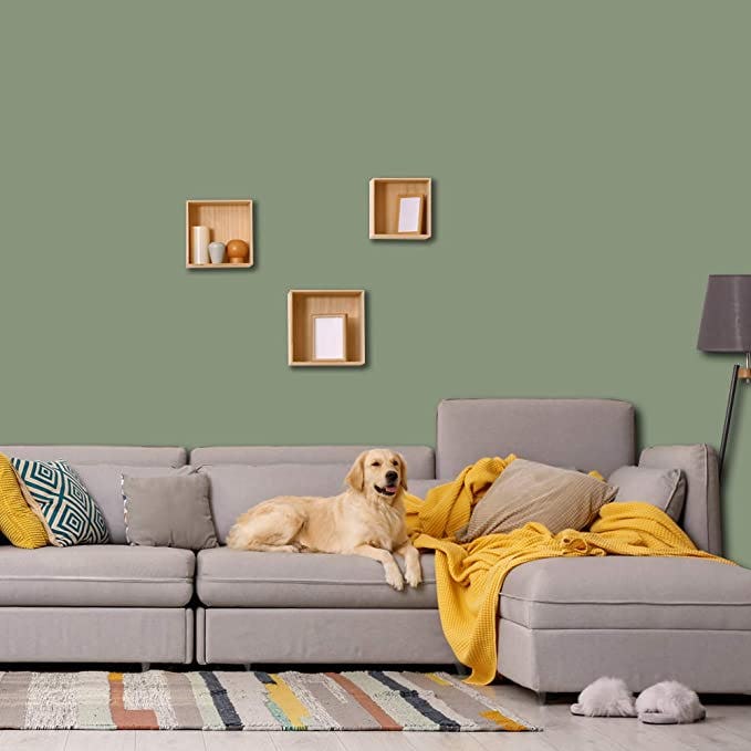 Prestige Interior Paint and Primer in One