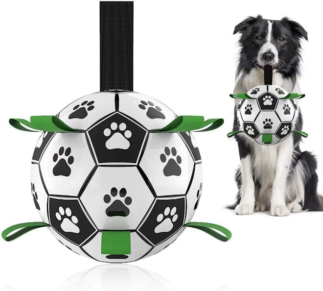 dog holding the QDAN soccer ball dog toy by a grab tab