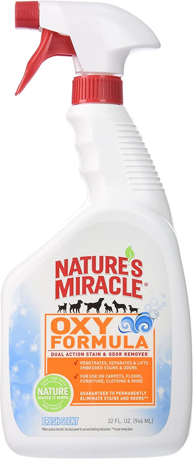 Nature's Miracle Oxy Formula Stain & Odor Remover