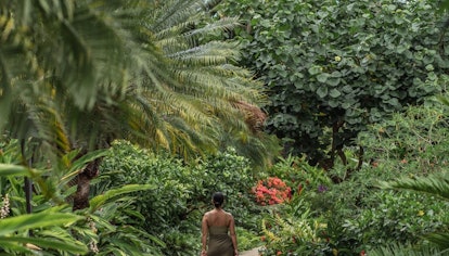 Woman walking through the island of Lanai jungle