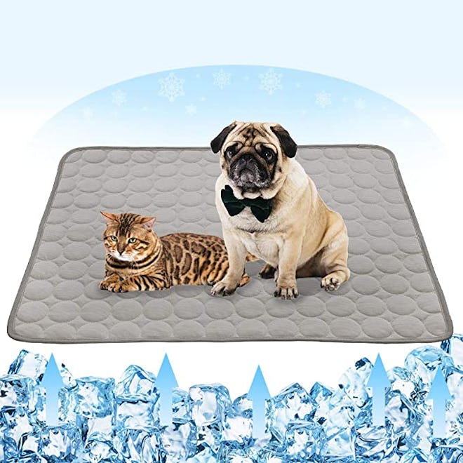 self cooling mat pad with pug and cat on top of it