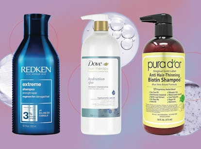 Best Shampoos For Hair Breakage & Loss