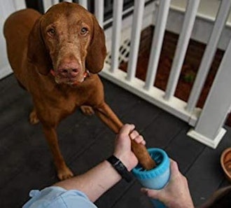 Dexas MudBuster Dog Paw Cleaner