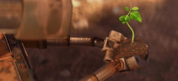 Wall-E holding a plant seedling