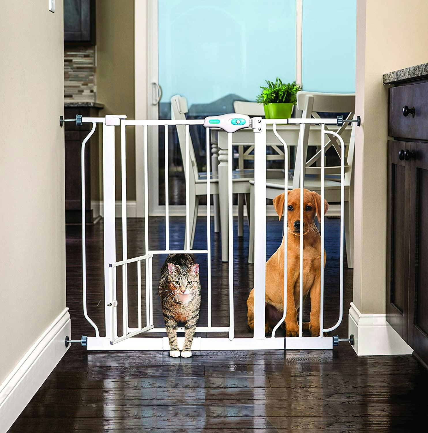 Carlson Walk-Through Pet Gate