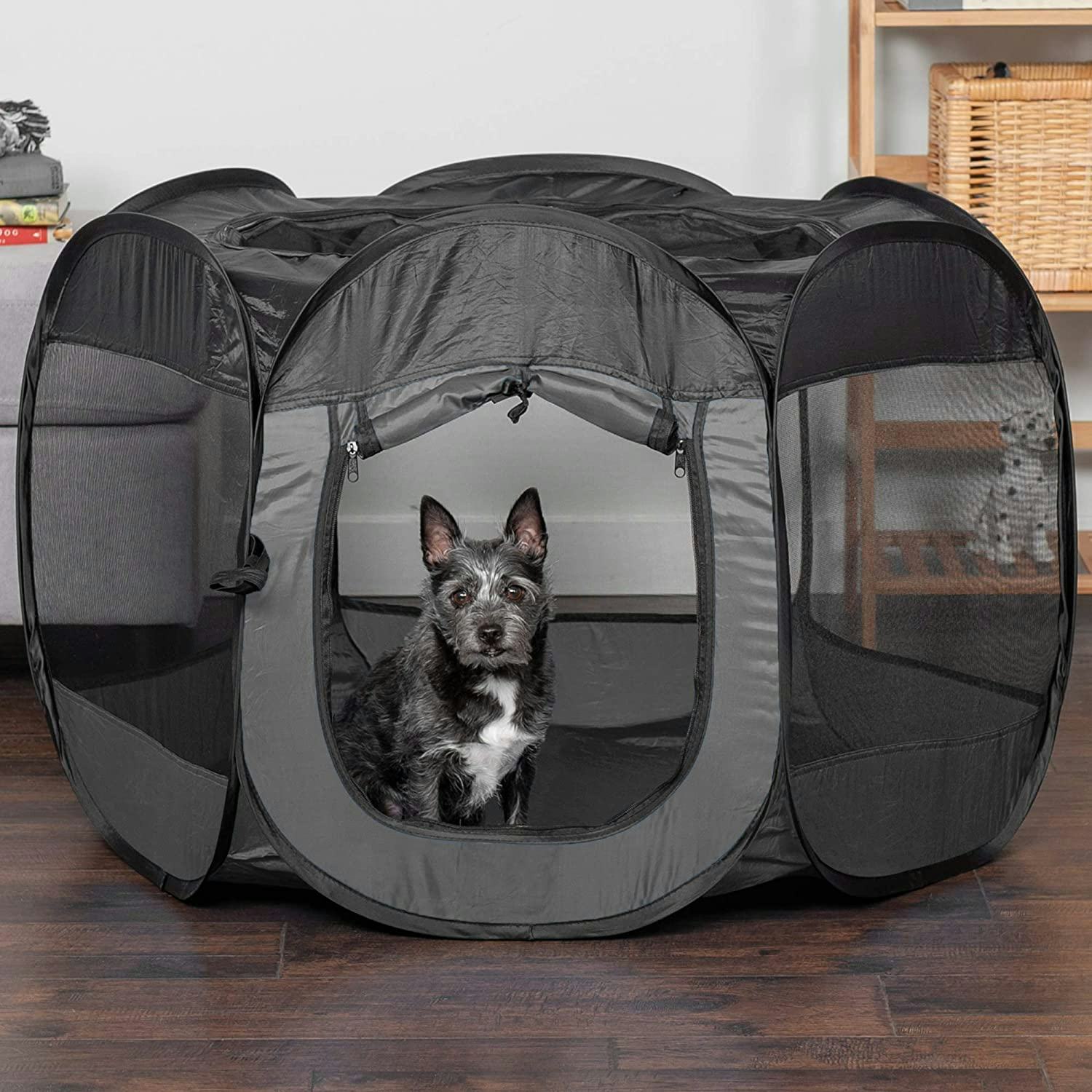 Furhaven Pop-Up Playpen