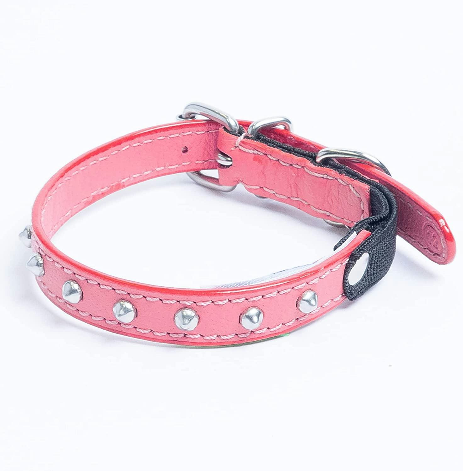 The 8 Best Collars For Cats Who Hate Collars