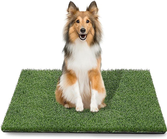 TAOAT Artificial Grass Pee Pad